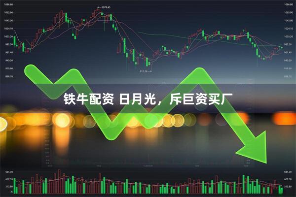 铁牛配资 日月光，斥巨资买厂